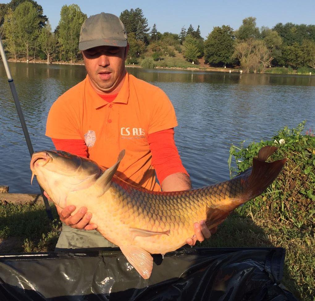 Carpbook - img-20160903-wa0000.jpg